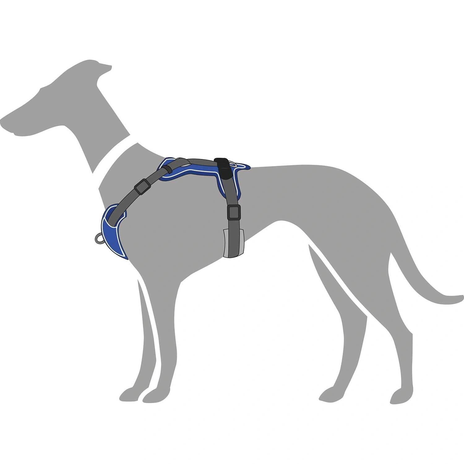 Hunter Divo hundesele L-XL petrol/grå just mave 79-107 cm - Ergonomisk komfort og refleks